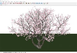 日本樱花树的sketchup模型