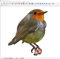 小鸟动物的sketchup模型