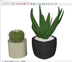 仙人球芦荟植物的sketchup模型