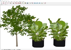 果树和盆栽植物的sketchup模型