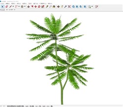 棕榈树的sketchup模型