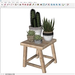 多肉植物仙人掌的sketchup模型
