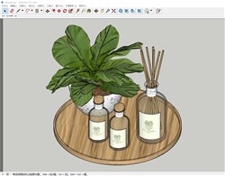香薰花盆植物的sketchup模型