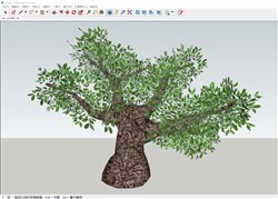 大树木的sketchup模型