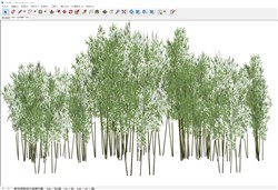 竹子竹林的sketchup模型