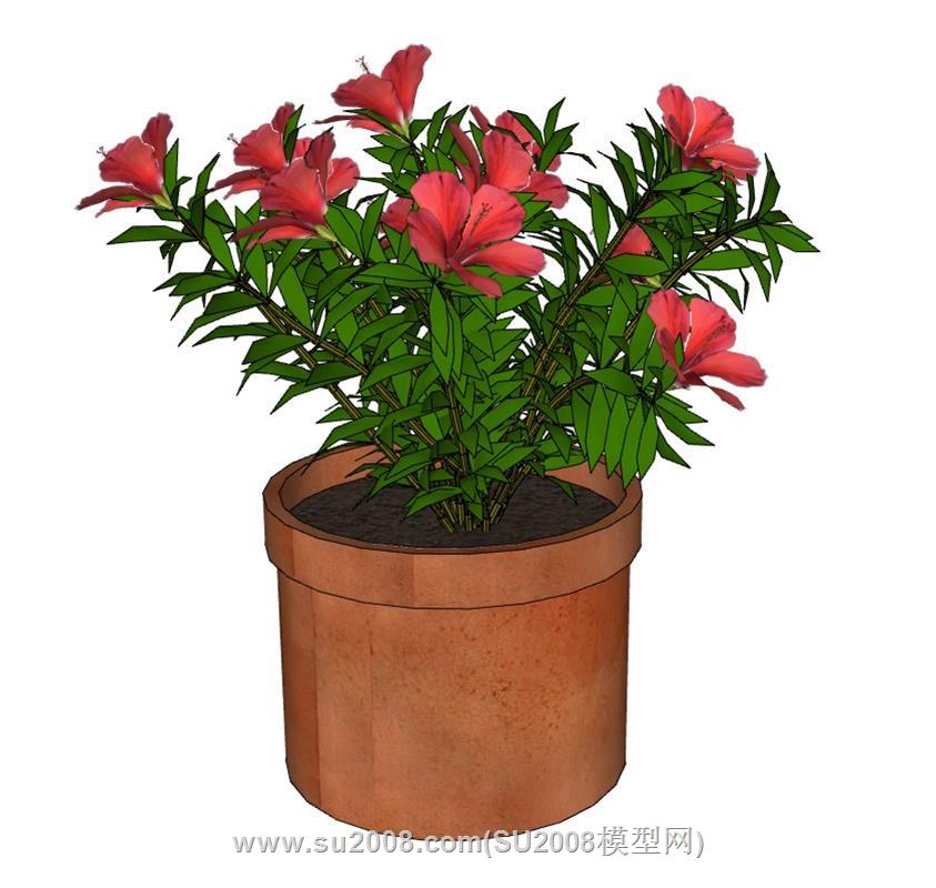 杜鹃花花盆SU模型