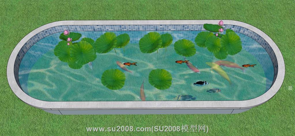 椭圆形荷花池鱼池su模型