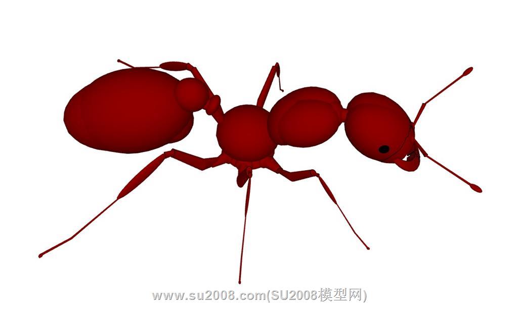 震撼登场！昆虫红蚂蚁SketchUp模型免费下载，探索微观世界