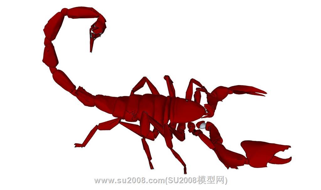 免费获取昆虫蝎子SU模型，探索奇妙微观世界