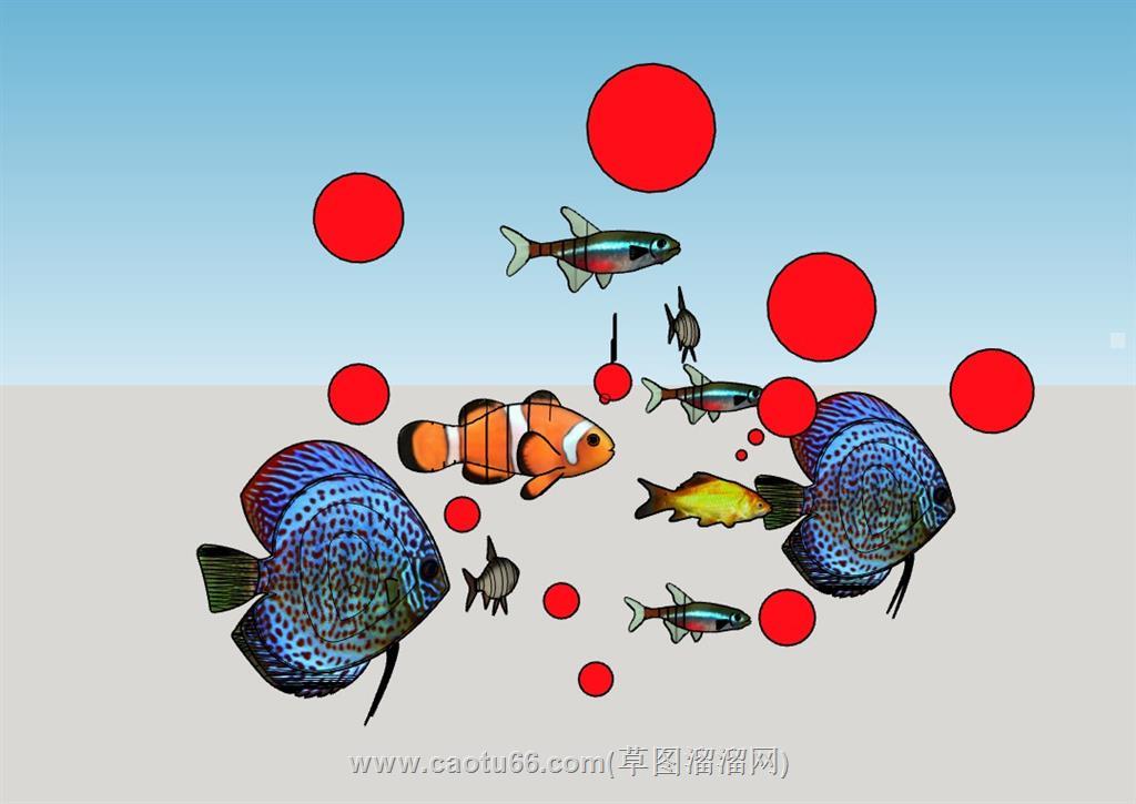 热带海鱼带气泡的su模型