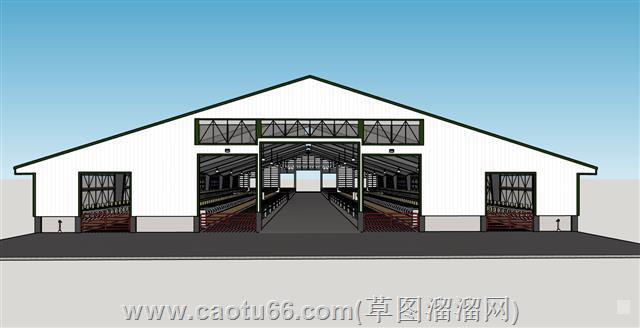 挤牛奶奶牛场养殖场