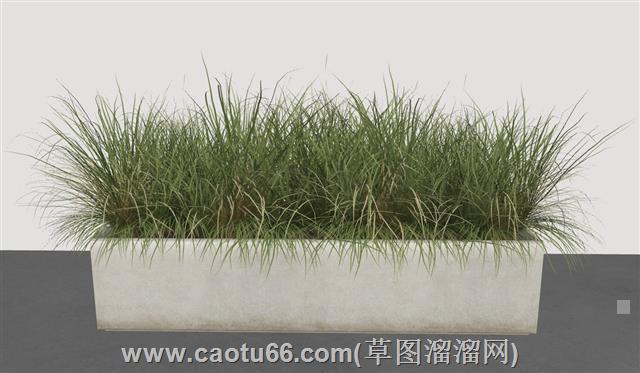 杂草花坛su模型