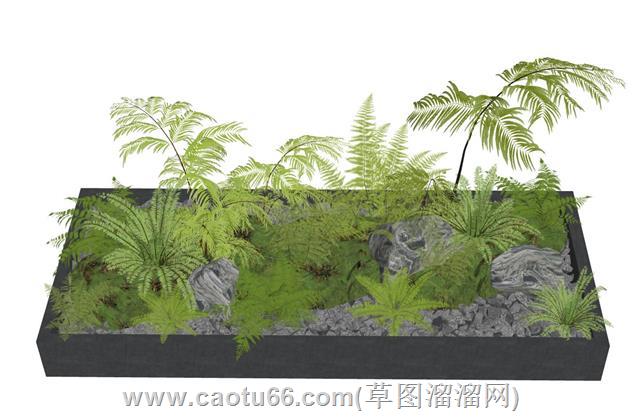 环艺蕨类植物花坛su模型