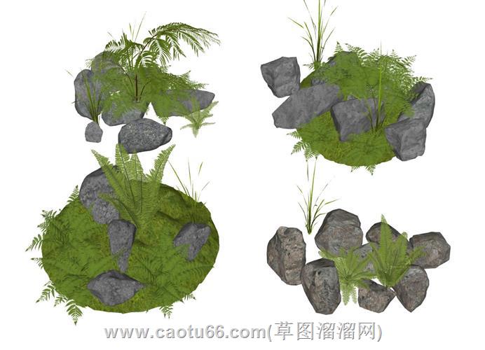 蕨类植物石头su模型