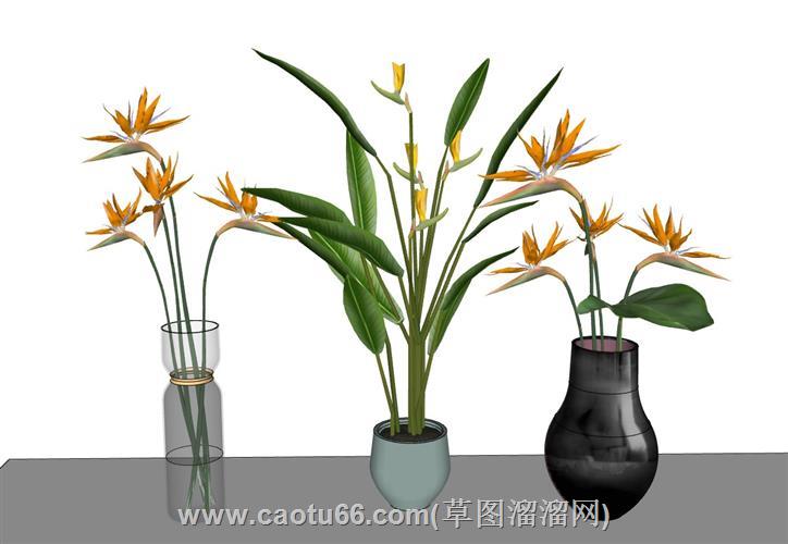 天堂鸟花盆插花su模型