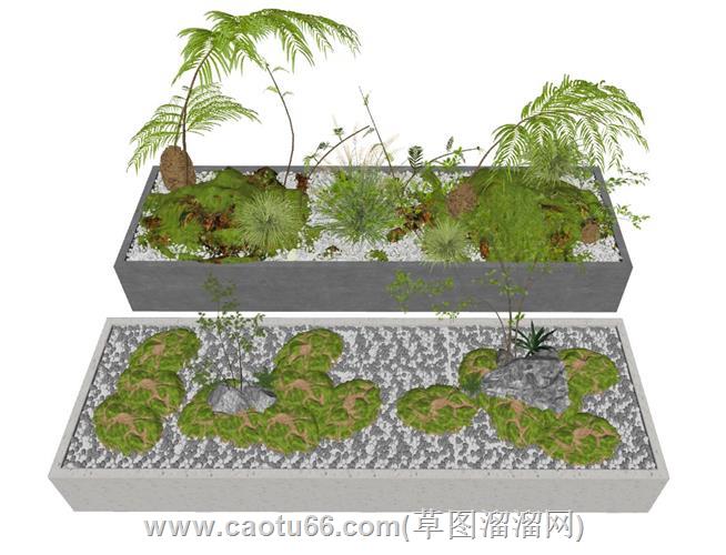 蕨类花坛景观su模型