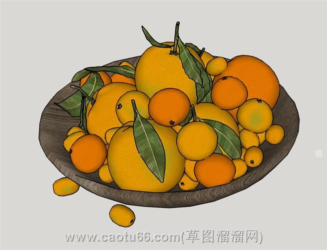 木盘水果橙子橘子金桔su模型
