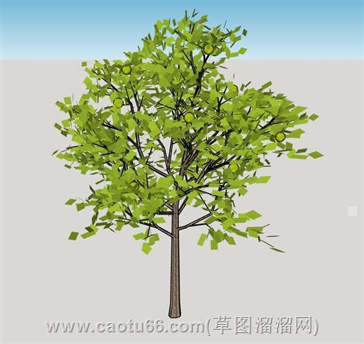 绿色果树su模型