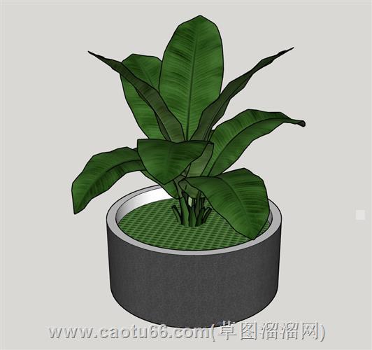 圆形花坛芭蕉叶模型
