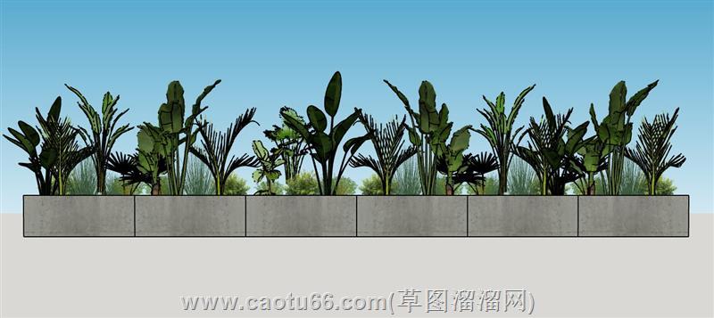 花坛花圃植物模型