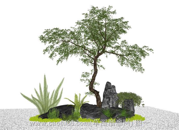 庭院树植物景观小品模型