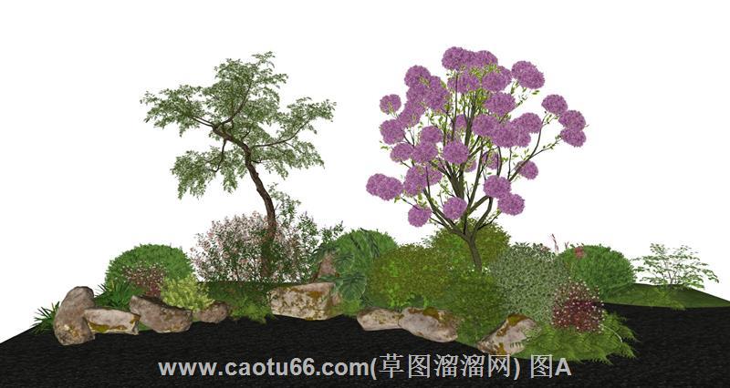 庭院植物组合景观模型