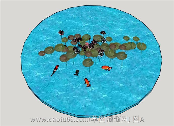 金鱼荷花池景观模型