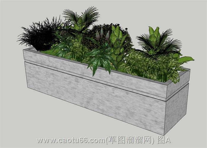富含生机的花箱植物组合花坛模型呈现
