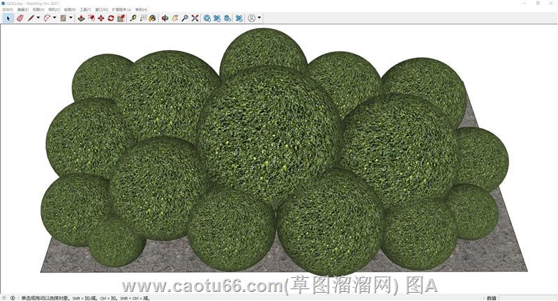 球形灌木植物SU模型