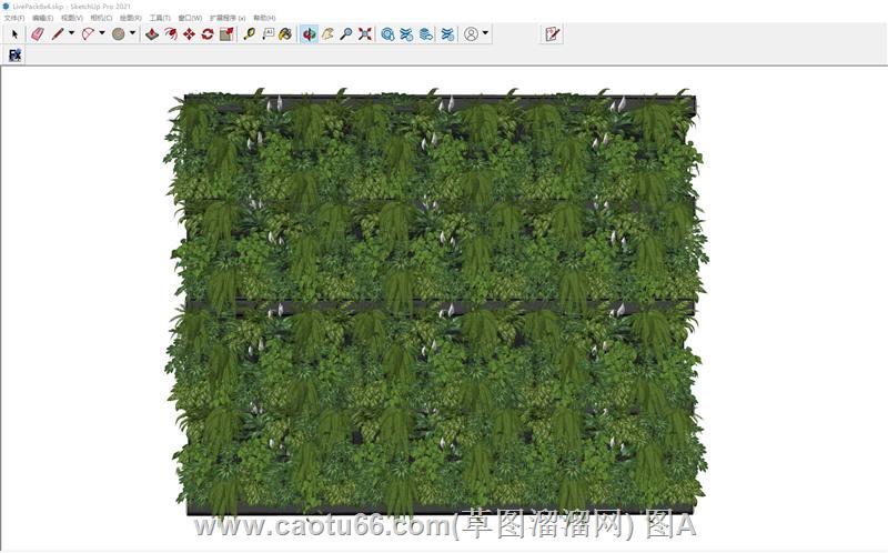 垂直绿化植物墙绿植墙SU模型