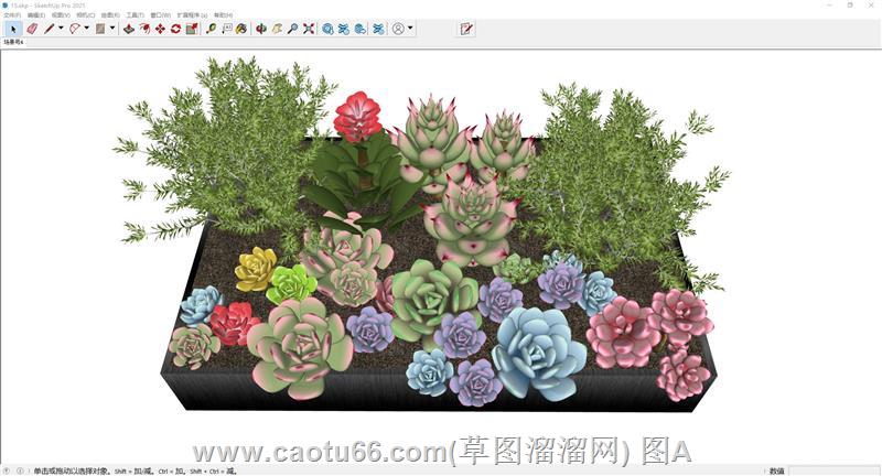 多肉植物集合SU模型