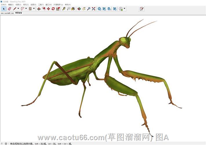 螳螂昆虫SU模型