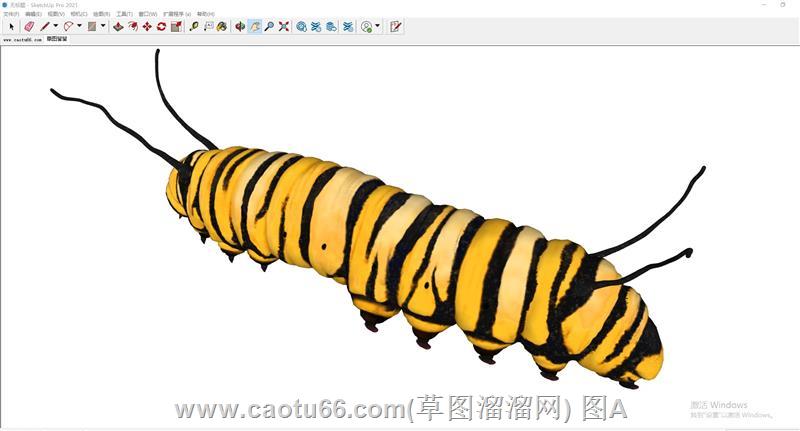 蠕虫毛毛虫SU模型