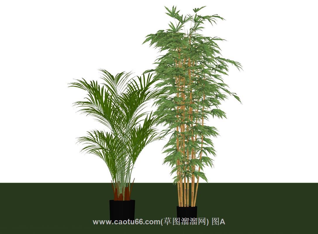 植物盆栽盆景SU模型