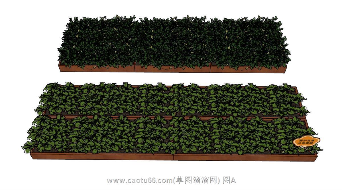 菜地蔬菜SU模型