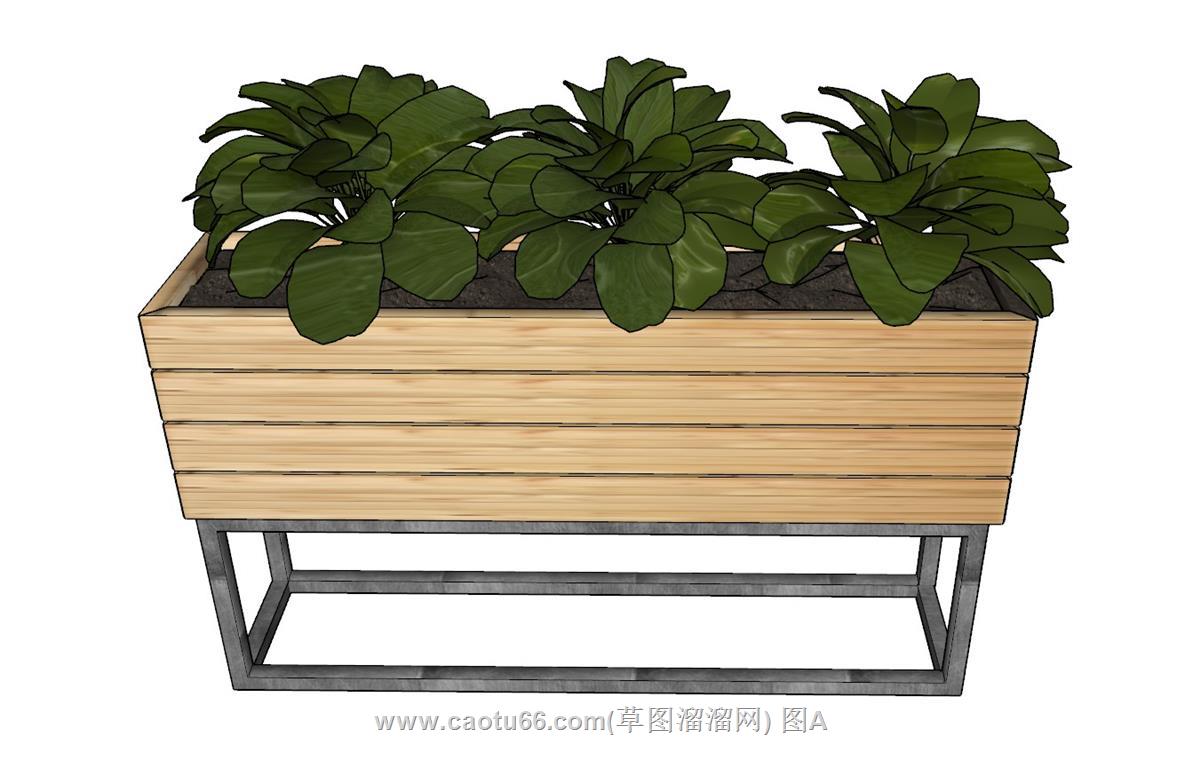 花箱植物SU模型