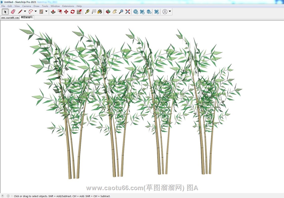 翠竹丛竹子竹叶的SU模型