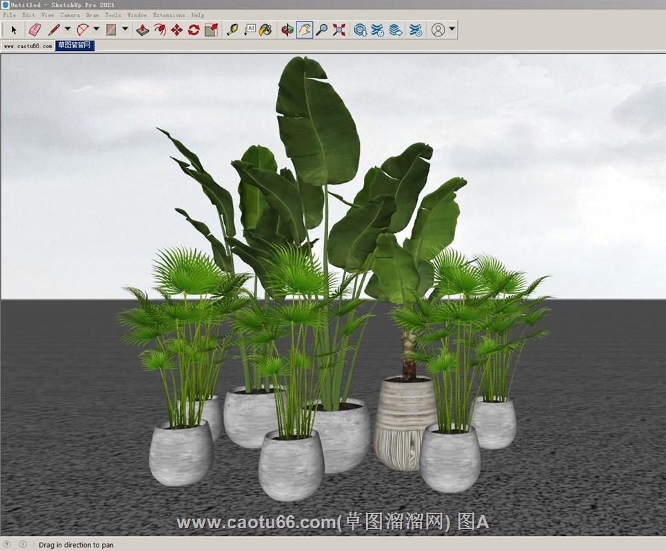 花盆植物的SU模型