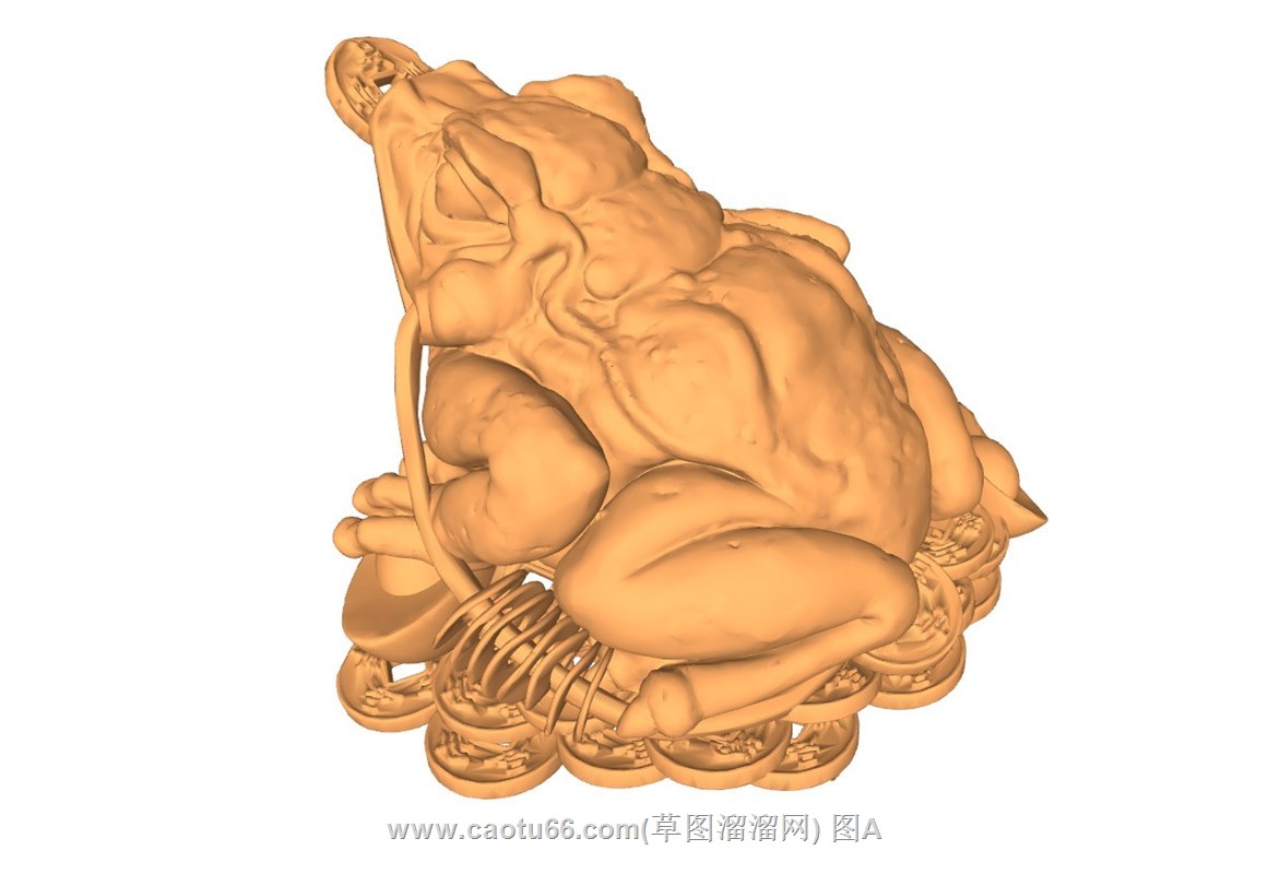 蟾蜍金蝉的SU模型