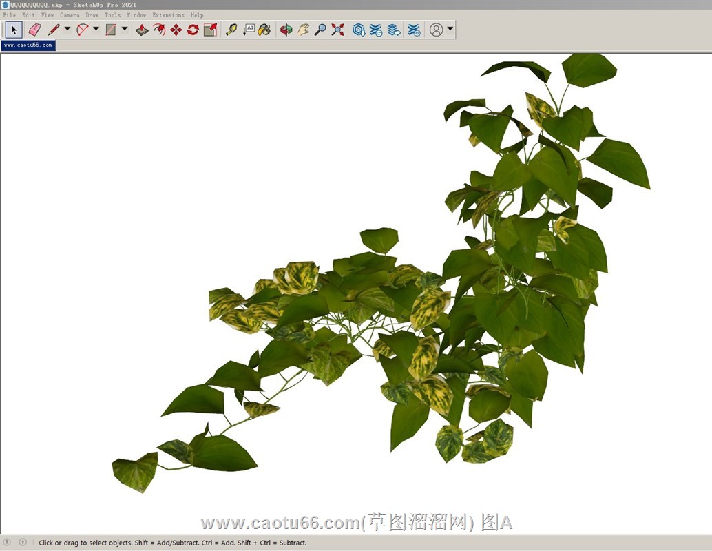藤蔓植物的sketchup模型