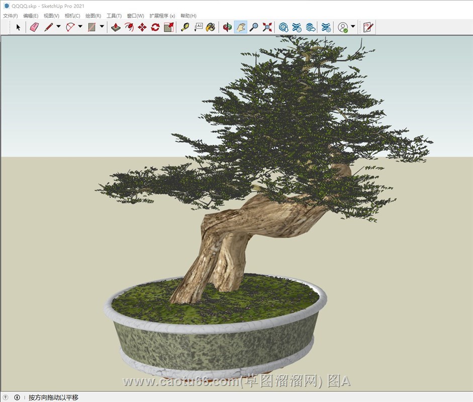 盆景盆栽植物的sketchup模型