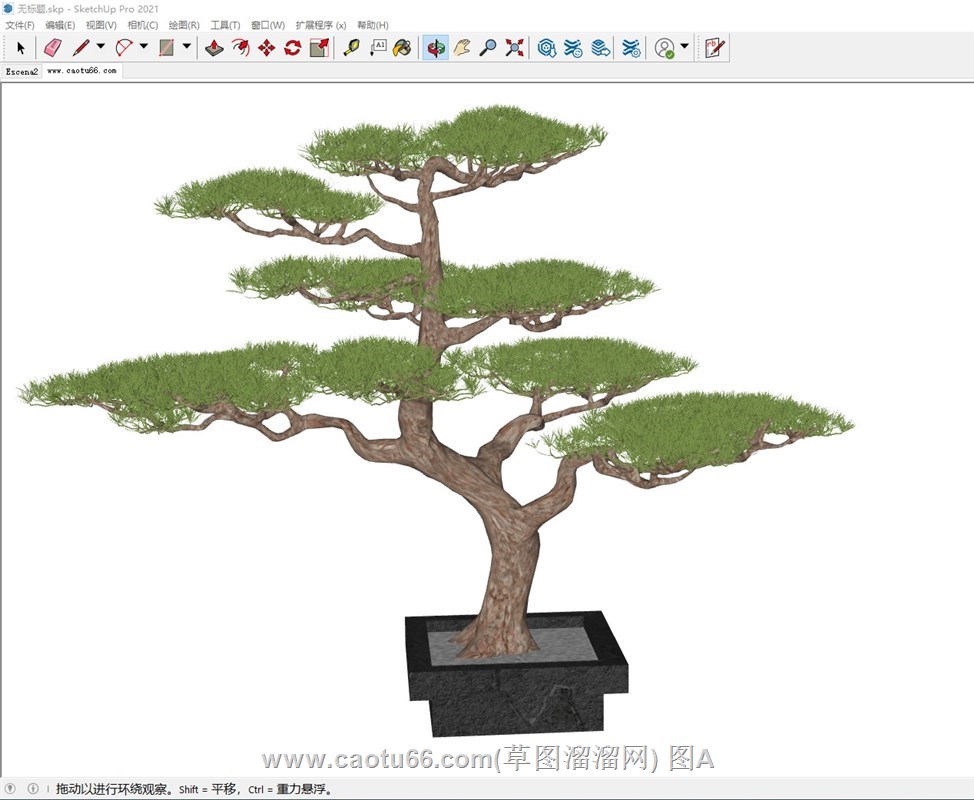 庭院景观松树盆景的sketchup模型