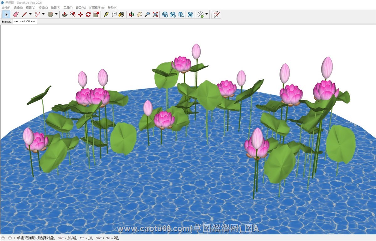 荷花池景观荷叶的sketchup模型