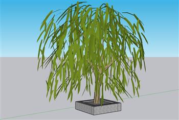 柳树景观植物SU模型