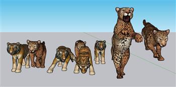 豹子动物SU模型