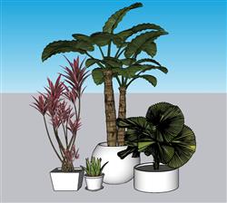 盆景盆栽植物SU模型