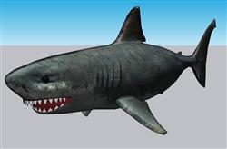 鲨鱼动物SU素材免费下载(ID36753)