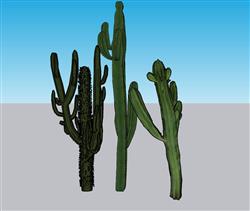 仙人掌植物SU模型