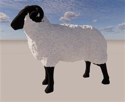 绵羊动物免费sketchup模型(ID38958)