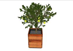花箱柠檬果树su素材免费下载网站